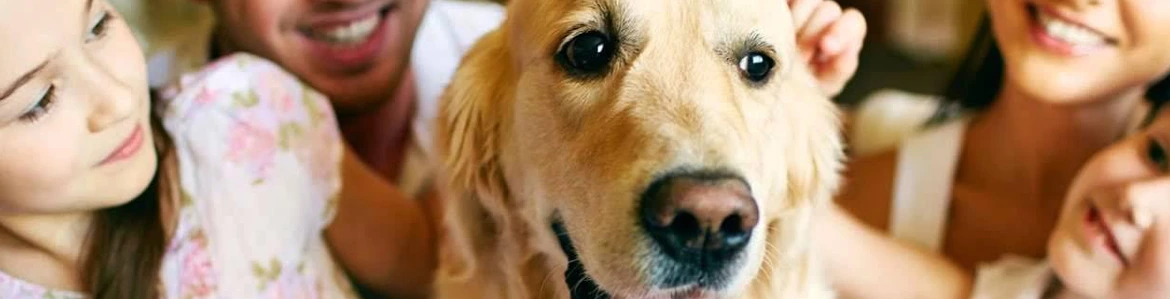 Family embracing their dog at home while considering pet financing loans for bad credit